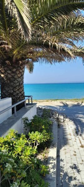 Apartment beside the sea